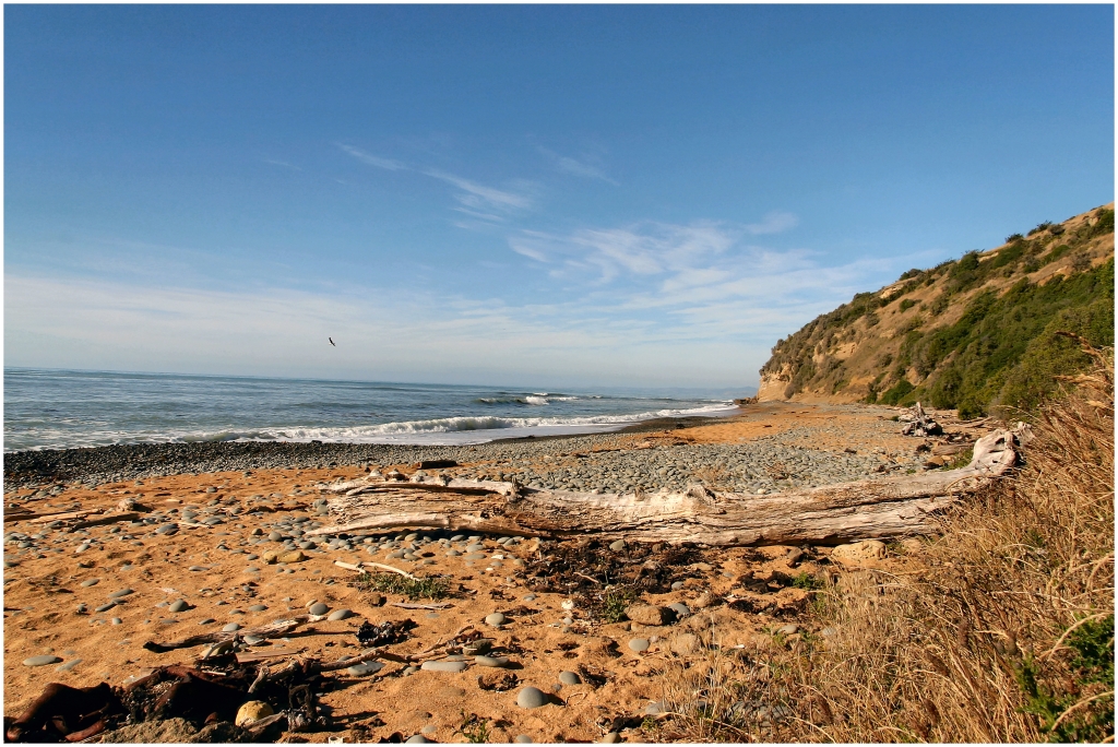 04 - Presqu'ile d'Otago (3).jpg